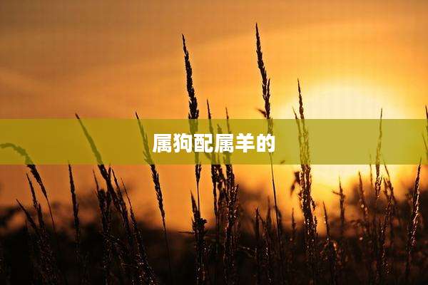 属狗配属羊的