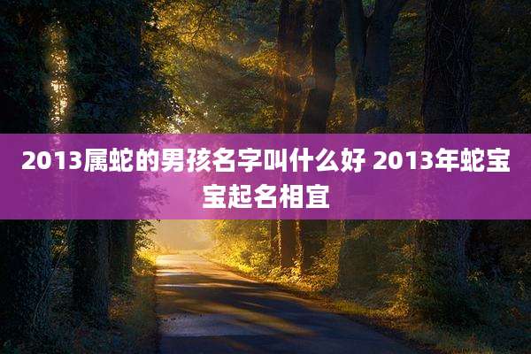 2013属蛇的男孩名字叫什么好 2013年蛇宝宝起名相宜