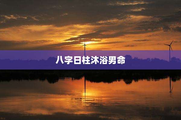八字日柱沐浴男命
