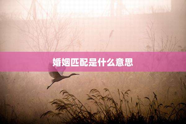 婚姻匹配是什么意思