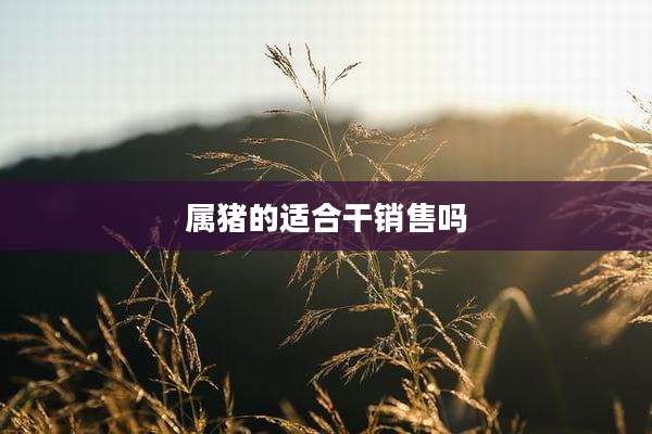 属猪的适合干销售吗