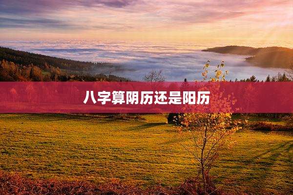 八字算阴历还是阳历