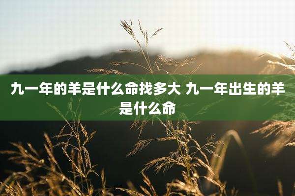 九一年的羊是什么命找多大 九一年出生的羊是什么命