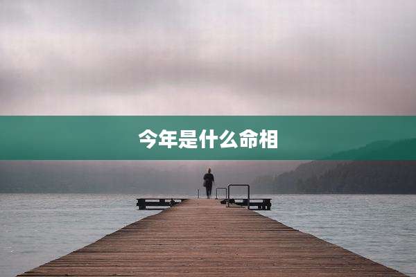 今年是什么命相