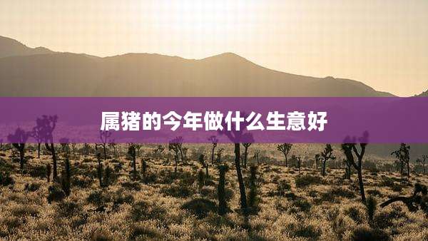 属猪的今年做什么生意好