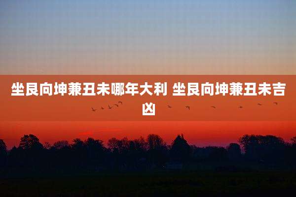 坐艮向坤兼丑未哪年大利 坐艮向坤兼丑未吉凶