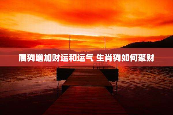 属狗增加财运和运气 生肖狗如何聚财