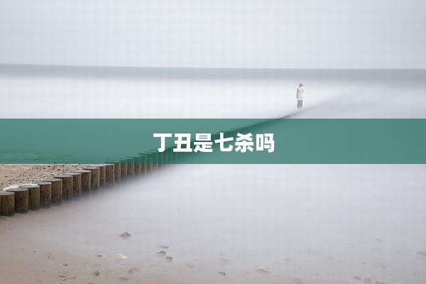 丁丑是七杀吗