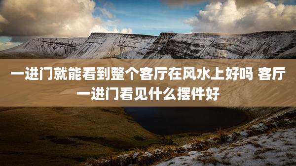 一进门就能看到整个客厅在风水上好吗 客厅一进门看见什么摆件好