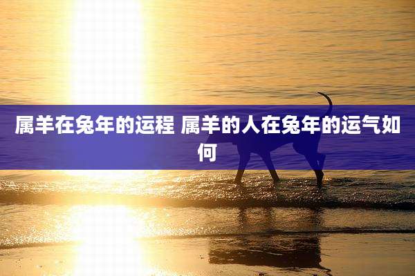 属羊在兔年的运程 属羊的人在兔年的运气如何