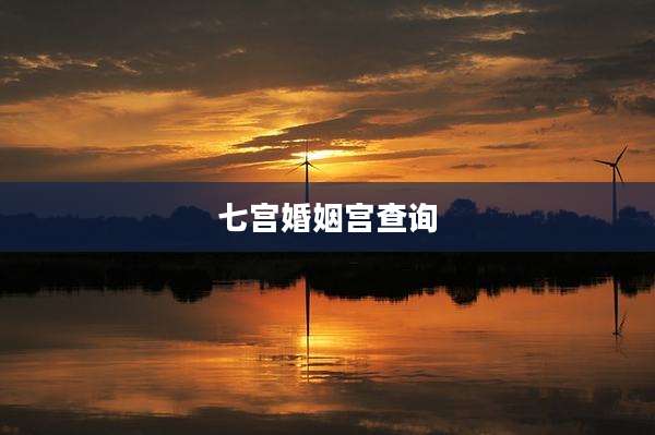 七宫婚姻宫查询