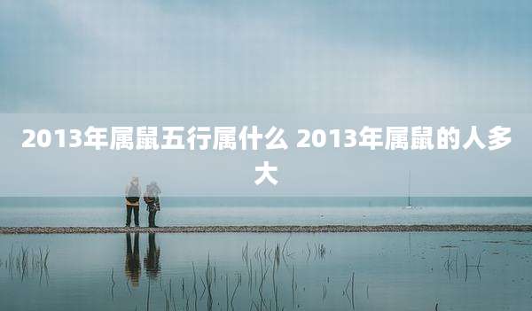 2013年属鼠五行属什么 2013年属鼠的人多大
