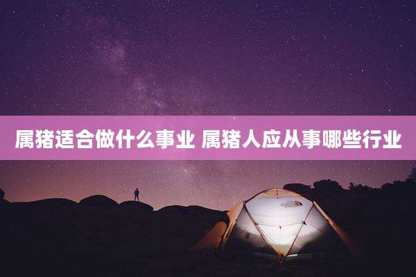 属猪适合做什么事业 属猪人应从事哪些行业
