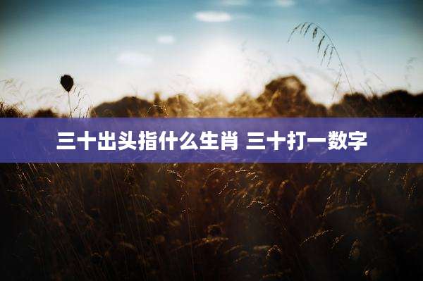 三十出头指什么生肖 三十打一数字