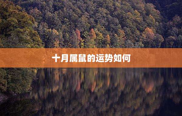 十月属鼠的运势如何