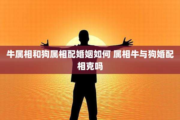 牛属相和狗属相配婚姻如何 属相牛与狗婚配相克吗