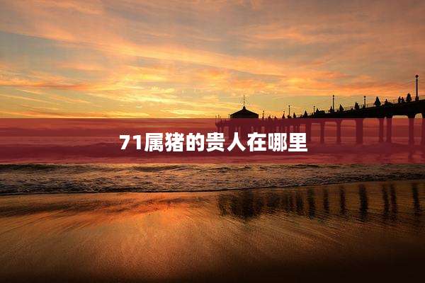 71属猪的贵人在哪里