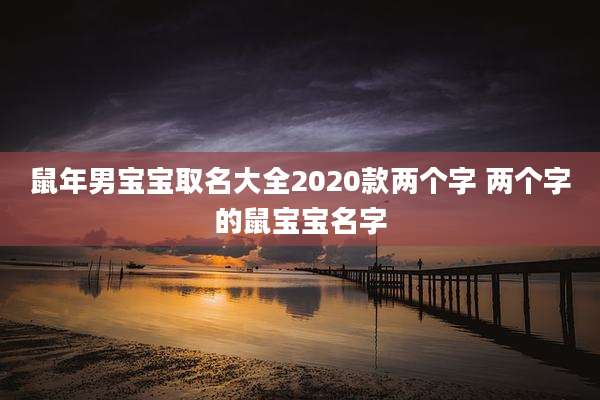 鼠年男宝宝取名大全2020款两个字 两个字的鼠宝宝名字