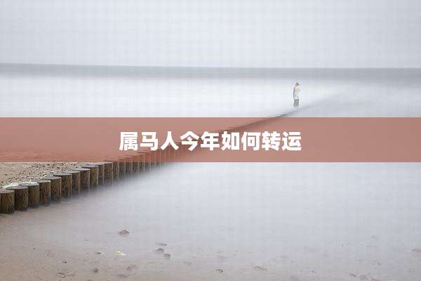 属马人今年如何转运