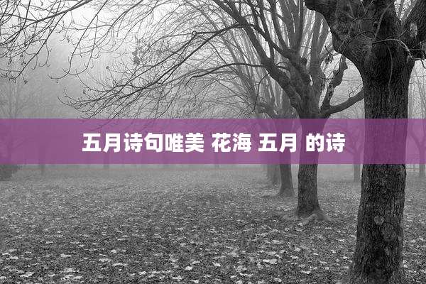 五月诗句唯美 花海 五月 的诗