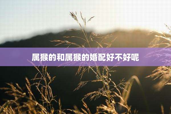 属猴的和属猴的婚配好不好呢