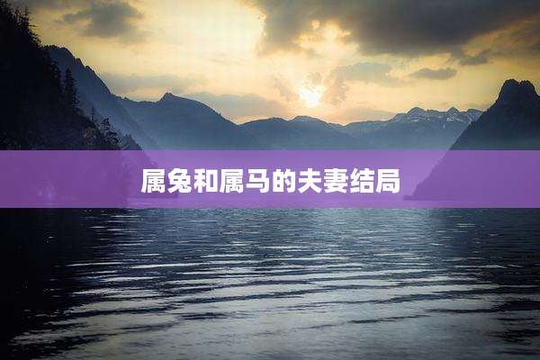 属兔和属马的夫妻结局