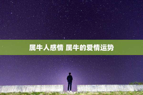 属牛人感情 属牛的爱情运势