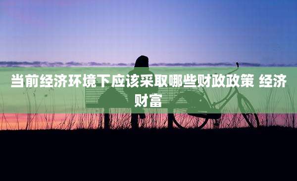 当前经济环境下应该采取哪些财政政策 经济财富