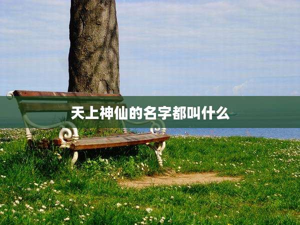 天上神仙的名字都叫什么