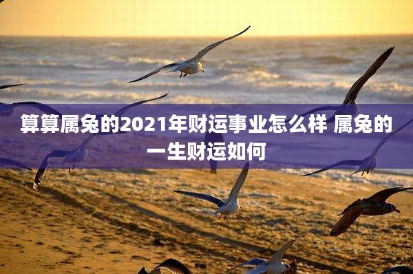 算算属兔的2021年财运事业怎么样 属兔的一生财运如何