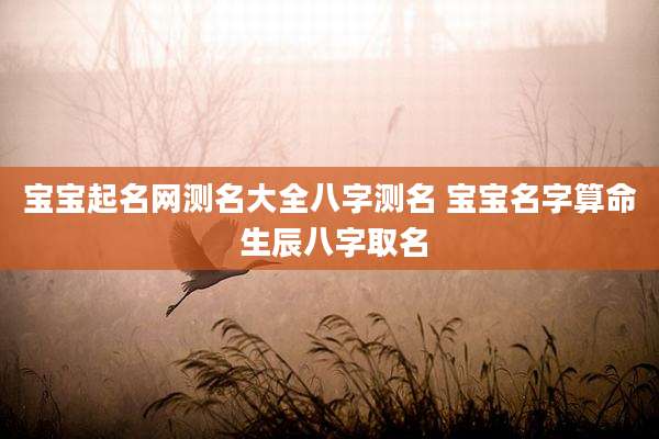宝宝起名网测名大全八字测名 宝宝名字算命 生辰八字取名