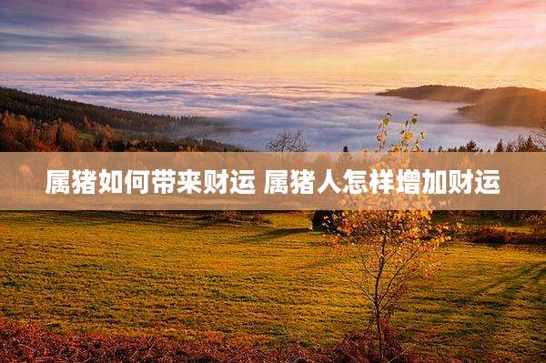 属猪如何带来财运 属猪人怎样增加财运
