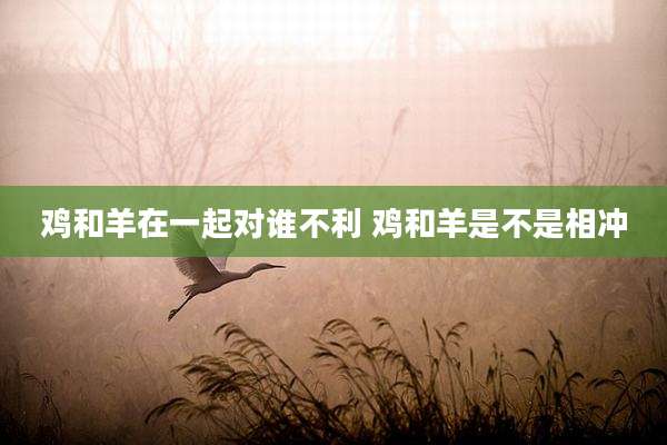 鸡和羊在一起对谁不利 鸡和羊是不是相冲