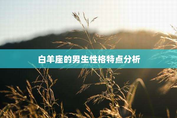 白羊座的男生性格特点分析
