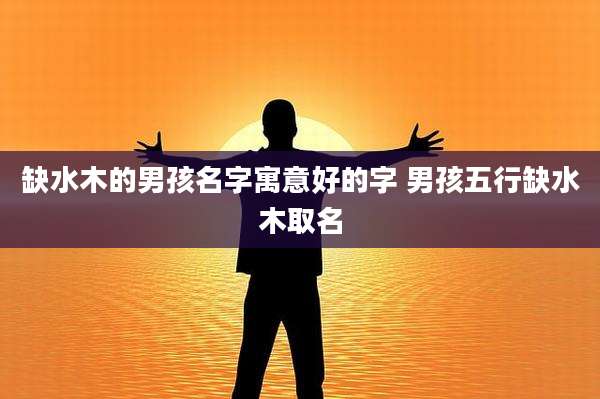 缺水木的男孩名字寓意好的字 男孩五行缺水木取名