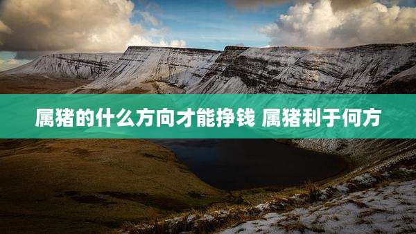 属猪的什么方向才能挣钱 属猪利于何方