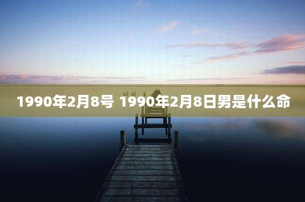1990年2月8号 1990年2月8日男是什么命