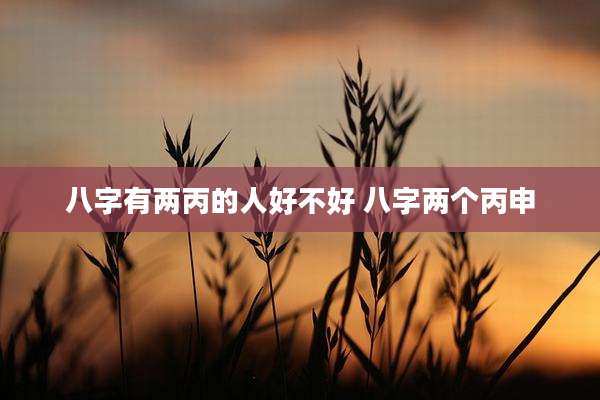 八字有两丙的人好不好 八字两个丙申