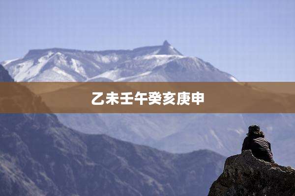 乙未壬午癸亥庚申