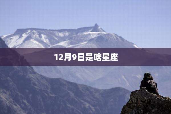 12月9日是啥星座