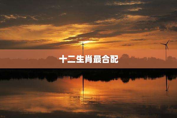 十二生肖最合配