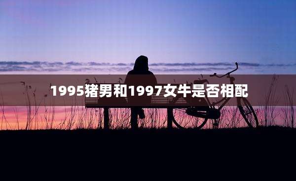 1995猪男和1997女牛是否相配