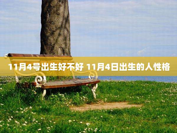 11月4号出生好不好 11月4日出生的人性格