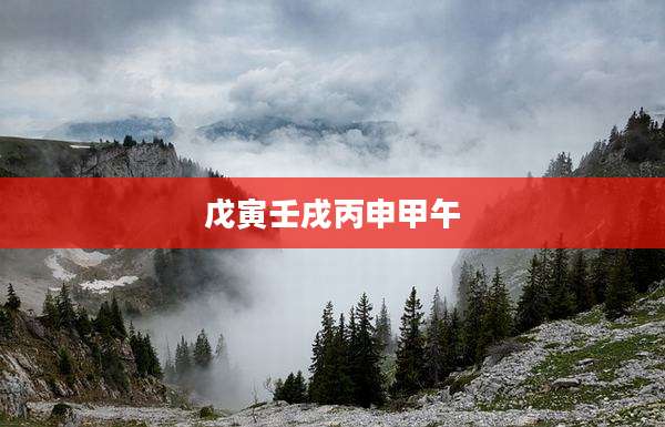 戊寅壬戌丙申甲午