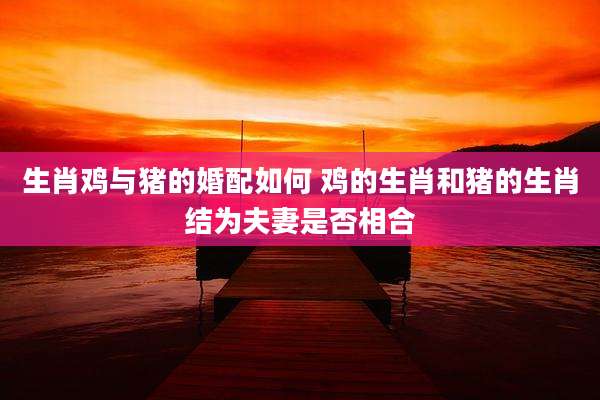 生肖鸡与猪的婚配如何 鸡的生肖和猪的生肖结为夫妻是否相合