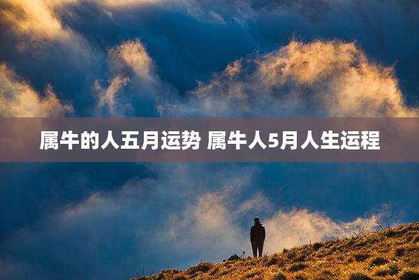 属牛的人五月运势 属牛人5月人生运程