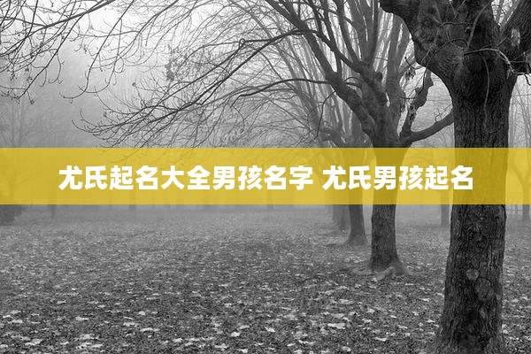 尤氏起名大全男孩名字 尤氏男孩起名