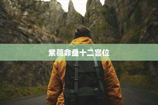 紫薇命盘十二宫位
