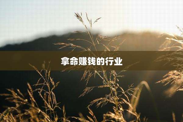 拿命赚钱的行业