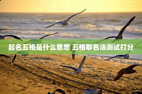 起名五格是什么意思 五格取名法测试打分